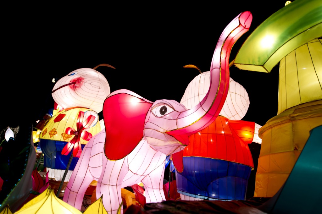 Intro Edisco Catalogo