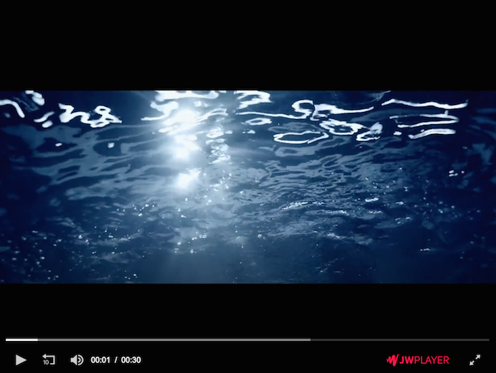 Clicca per vedere il video